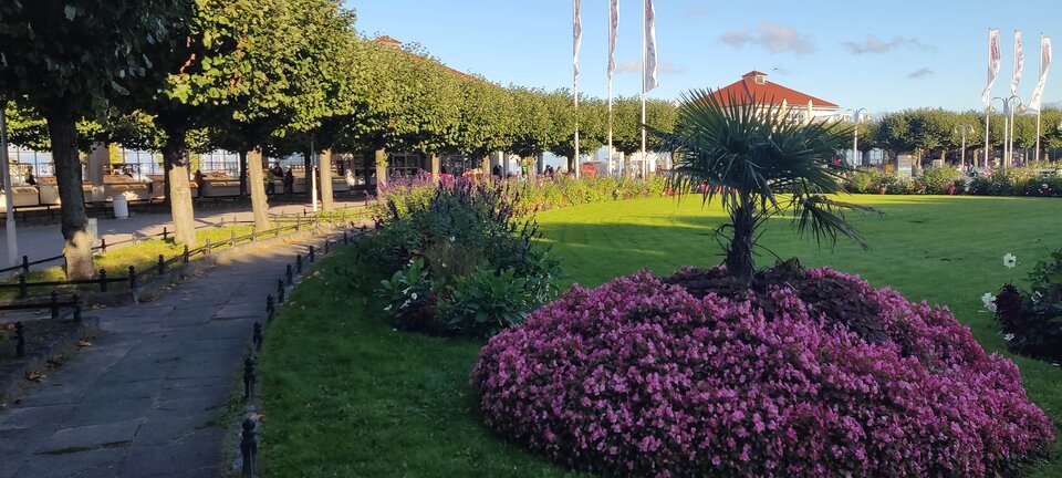 IMG_20250929_165304.jpg - edytkaandrzej