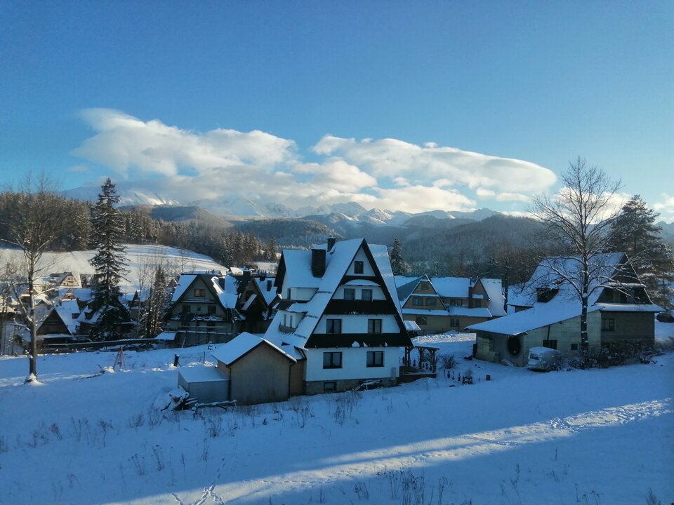 IMG_20210214_155515.jpg - bardzoelokwentny