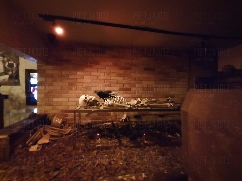 IMG_20250921_122255.jpg - PIETJA1012