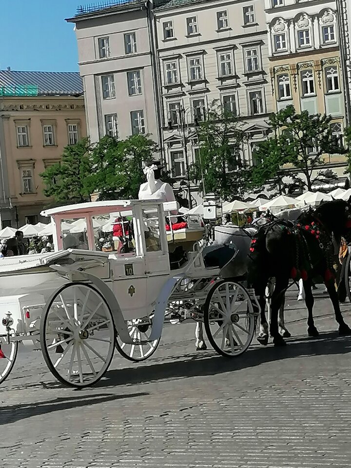 IMG_20250920_120538.jpg - PIETJA1012