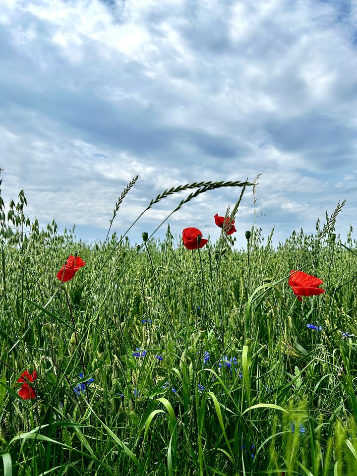 IMG_1983.jpeg - Kira_7