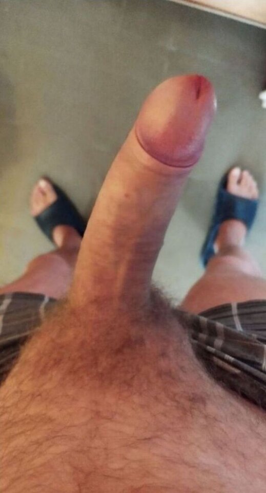 51161.jpg - wawianin