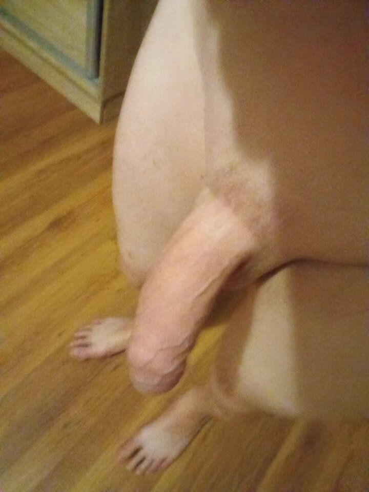 1000001859.jpg - ElMarkiz