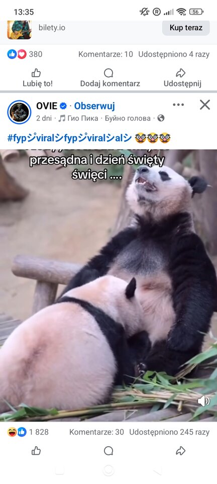 1000021892.jpg - Lukasior84