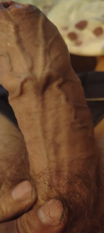 1000003186.jpg - XMiko77