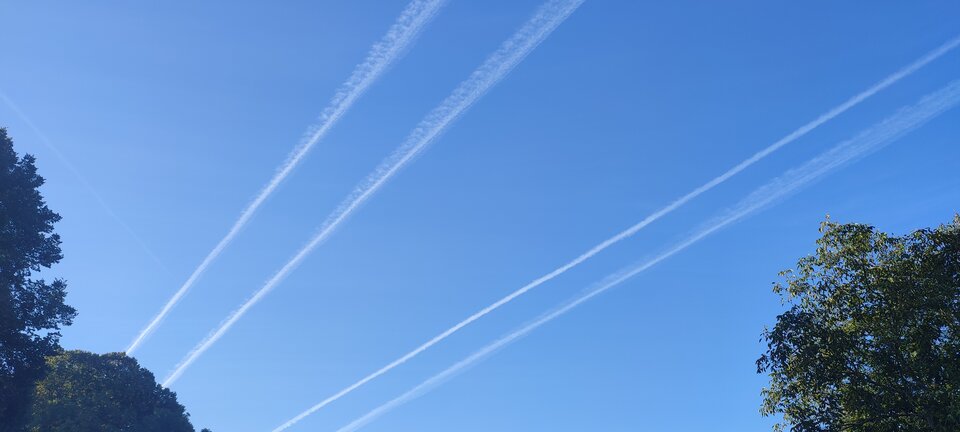 1759351554005.jpg - maanseli