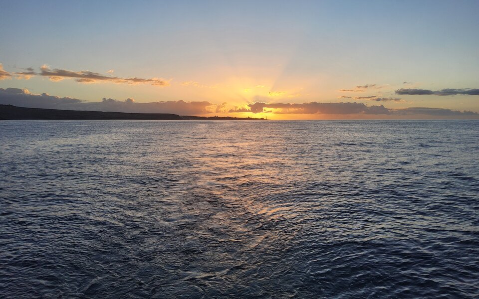 1000046902.jpg - tenmario