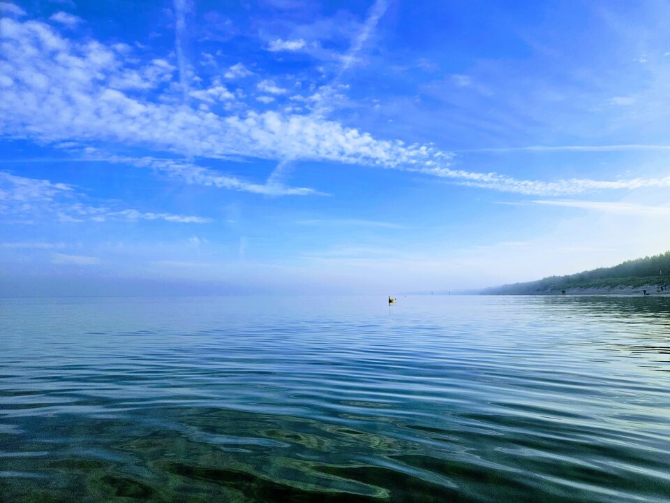 1000049523.jpg - Kurewna_i_Tomica