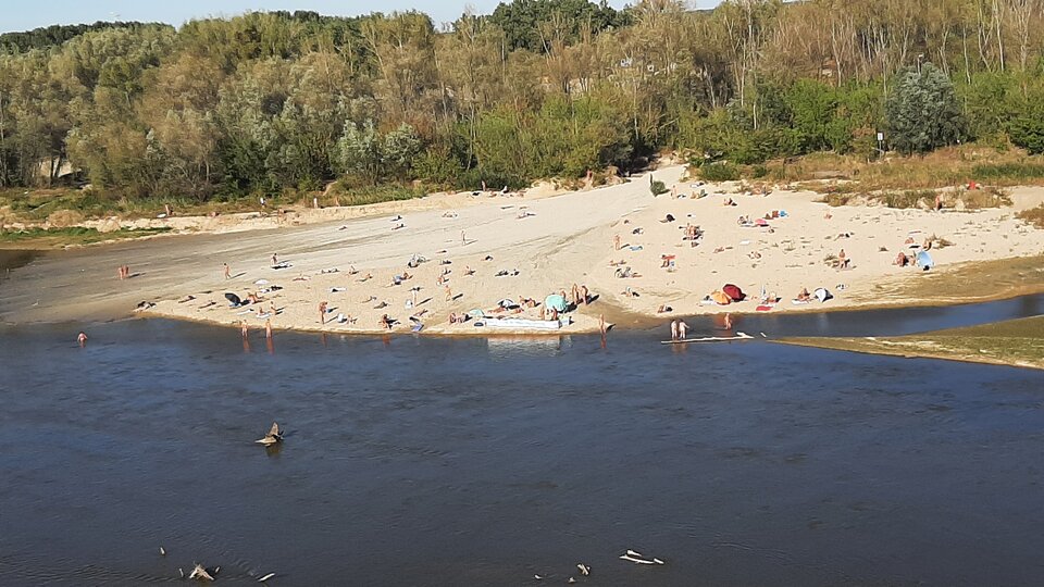 20250921_154026.jpg - Naturysta333