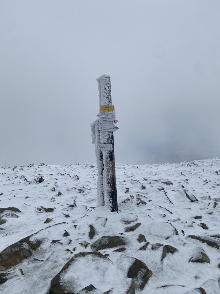 IMG_1285.jpeg - KUCIAPKA_i_KAPUCYNEK