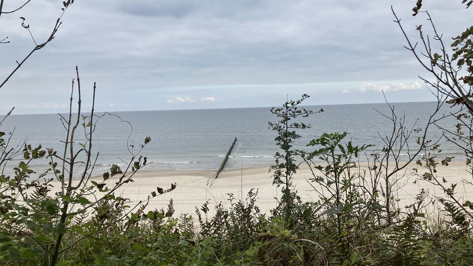 IMG_0339.jpeg - nrw670n