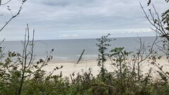 IMG_0339.jpeg