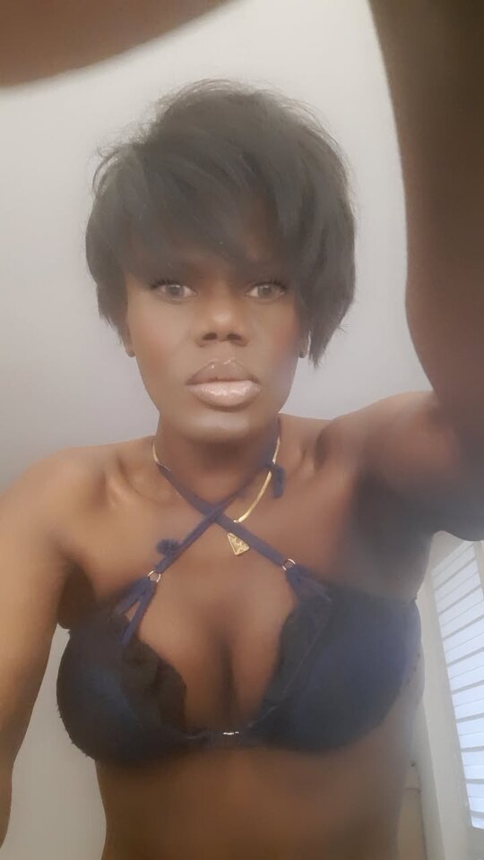 Snapchat-238000523.jpg - OniJegoTrans