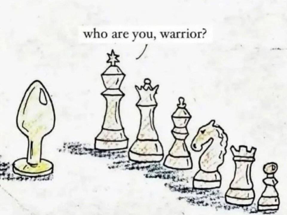 wojownik.jpg - WildPony