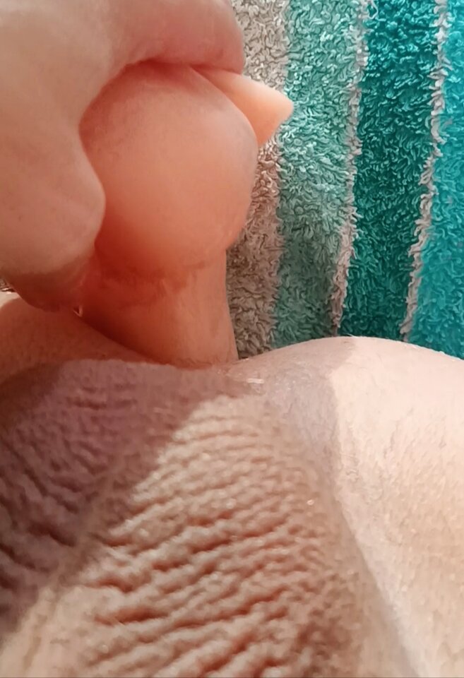 IMG_20251003_204802.jpg - Lubiepaly1