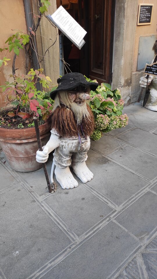 IMG_20231017_130317.jpg - Lubisek