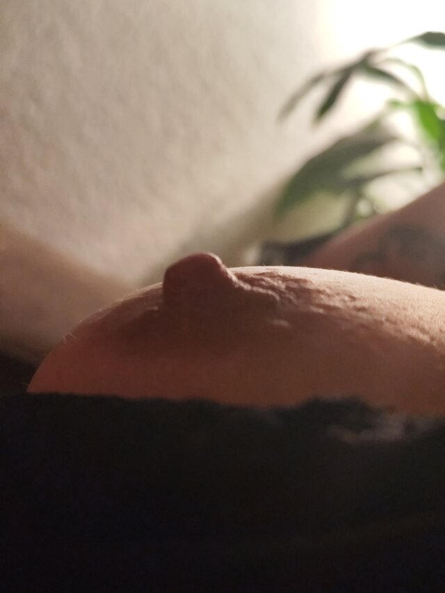 Fitficken