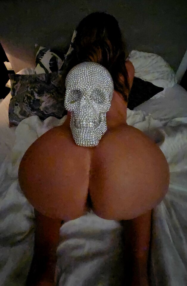 20240810_021425.jpg - pawdor