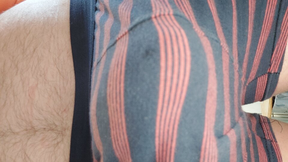 1000060266.jpg - Patrros