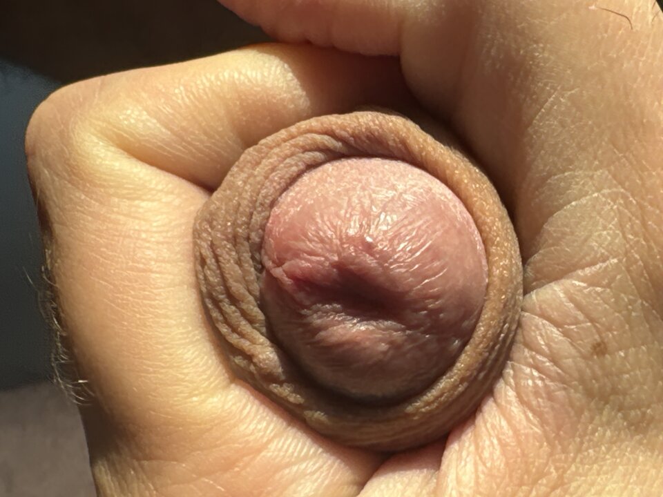 image.jpg - Mozeteraz91