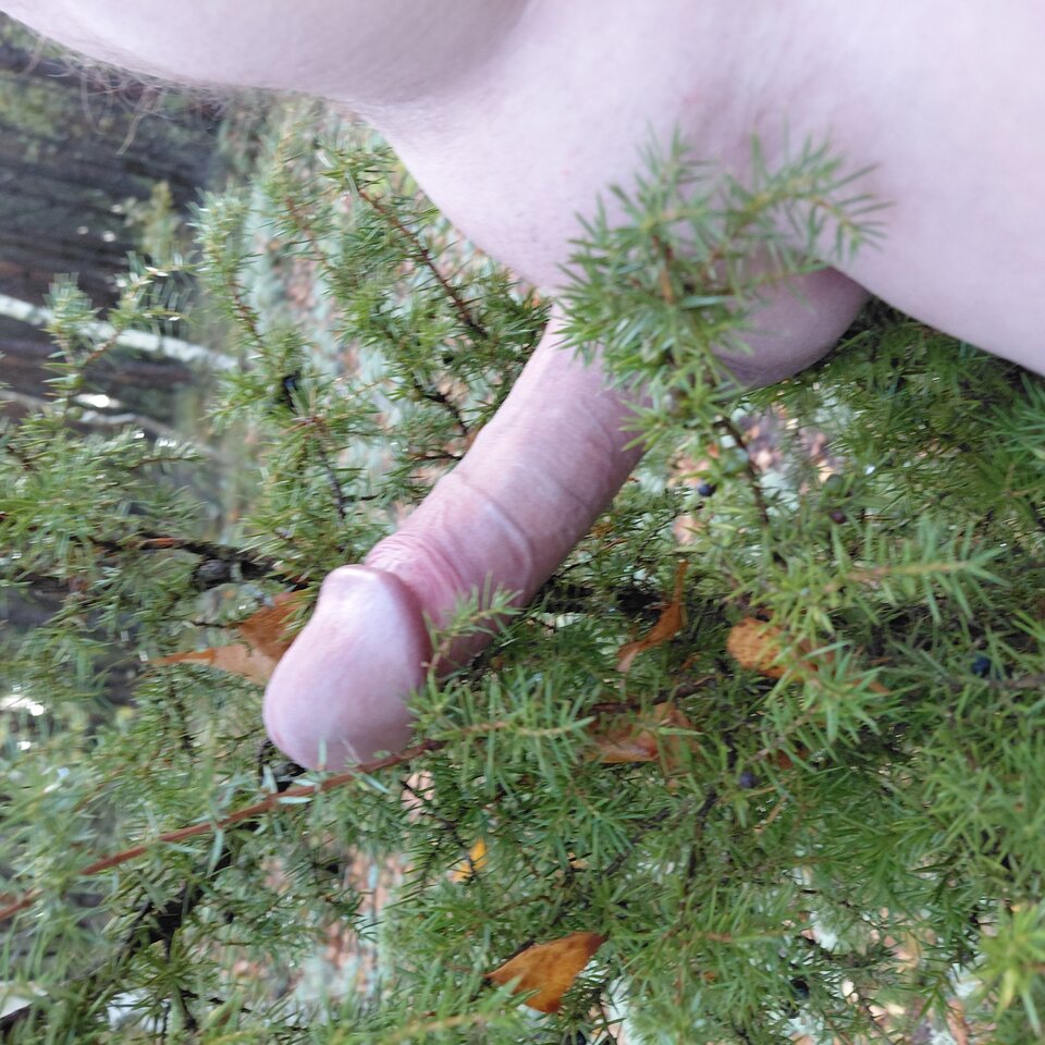 1000002509.jpg - hej34