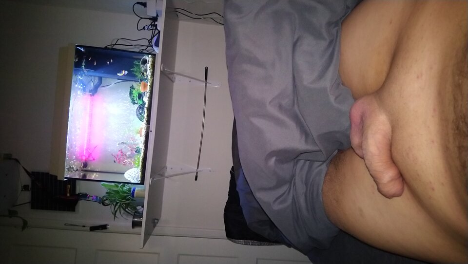 17596458340592500191887485710203.jpg - RealnyNiegrzeczny