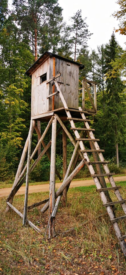 IMG_20251005_110132.jpg - majo82