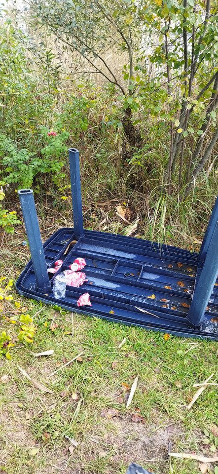 1000055840.jpg - nudist_friends75_76