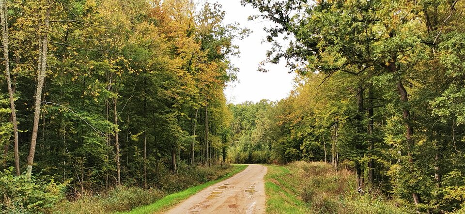 IMG_20251005_113326.jpg - majo82