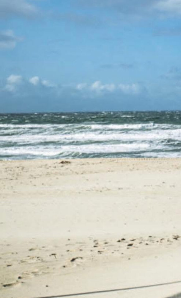 IMG_5338.jpeg - JosephG