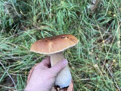 IMG_7699.jpeg