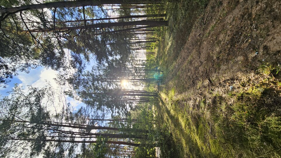 1000183869.jpg - Stef1970