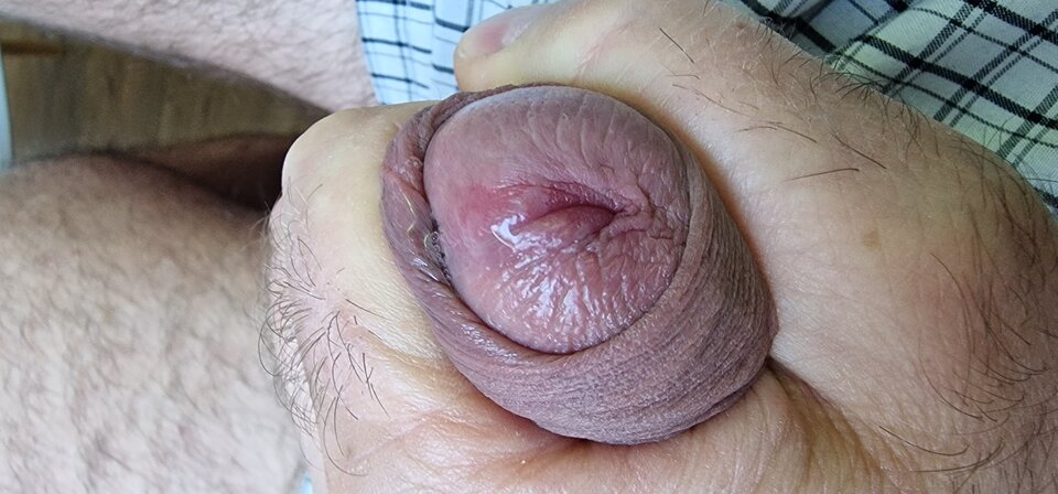 17596697100164527918488334027658.jpg - robin266