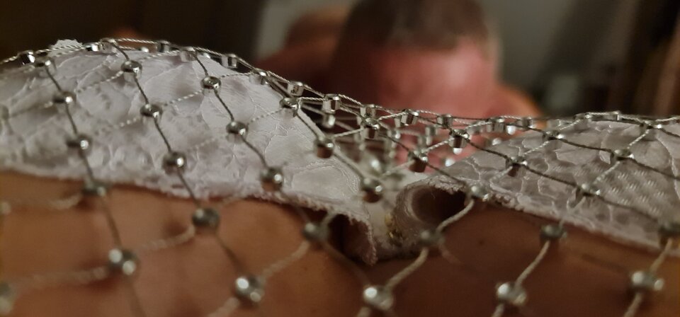 20251005_005342.jpg - Cookies8276