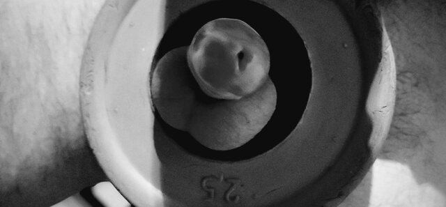 paw_666