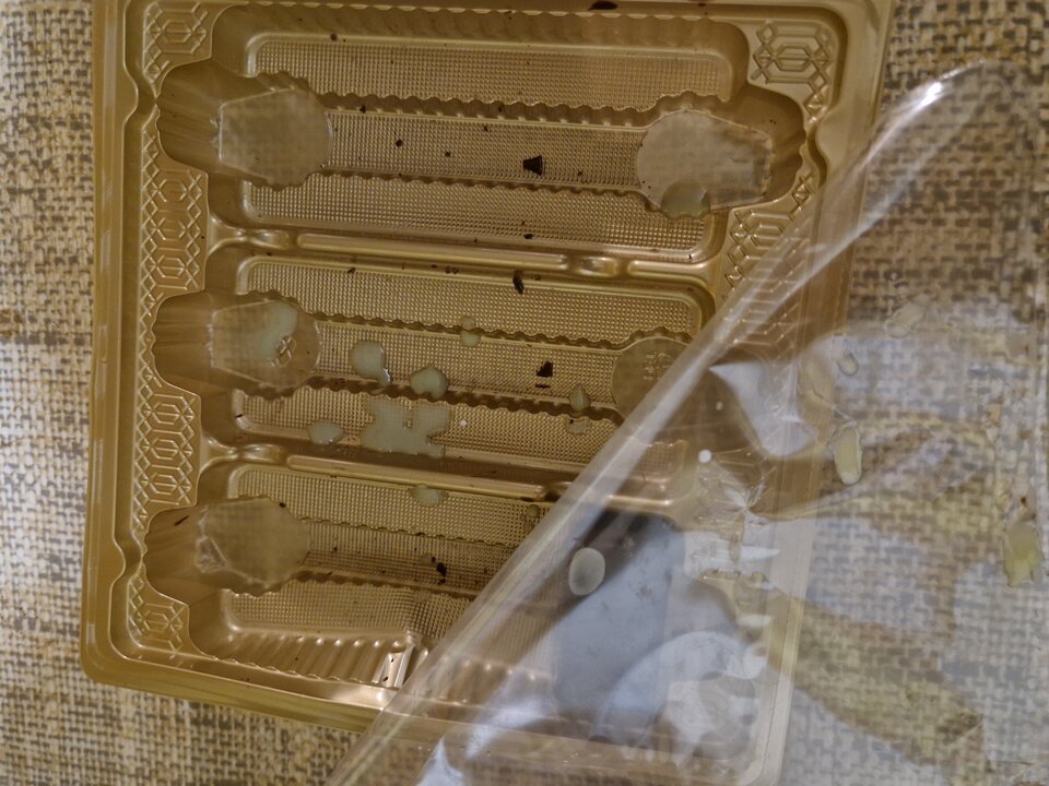 20251005_210221.jpg - OnaiOn8378