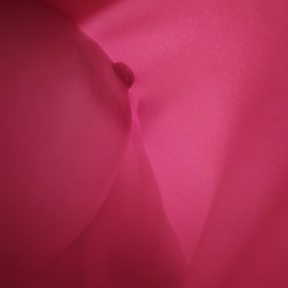 1000004717.jpg - Nokaut1984