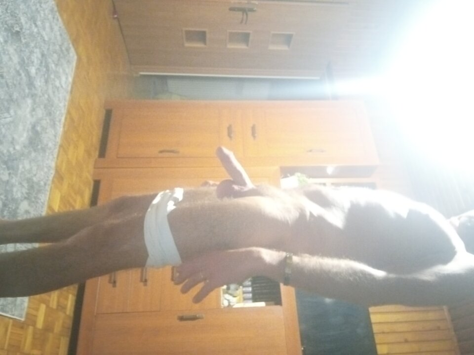 20251007_045400.jpg - benek29