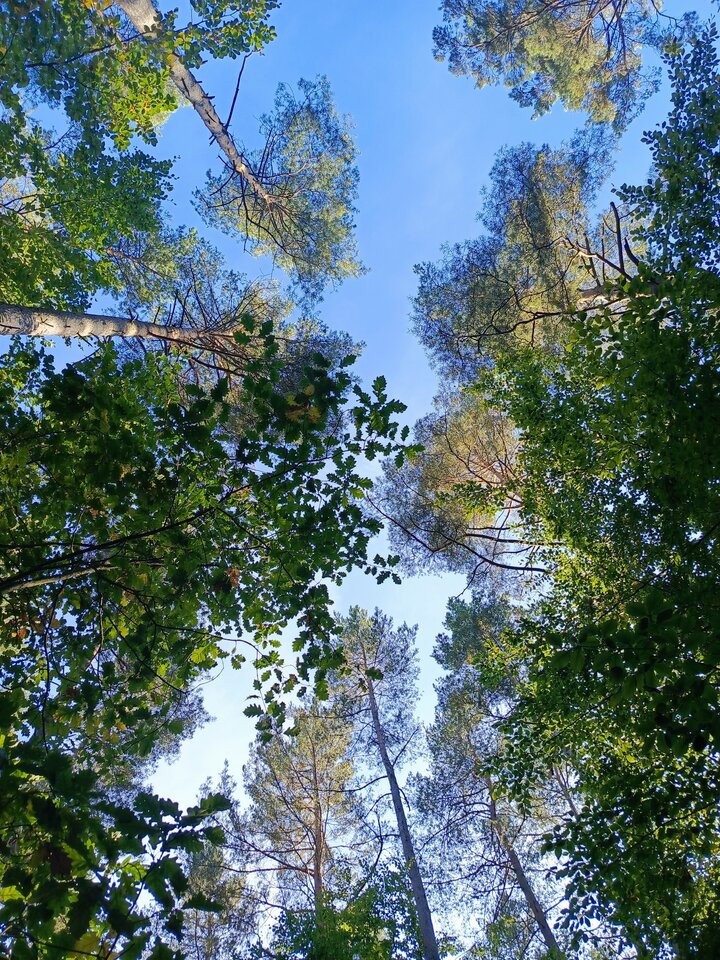 IMG_20251007_154936_955.jpg - JaMarcino