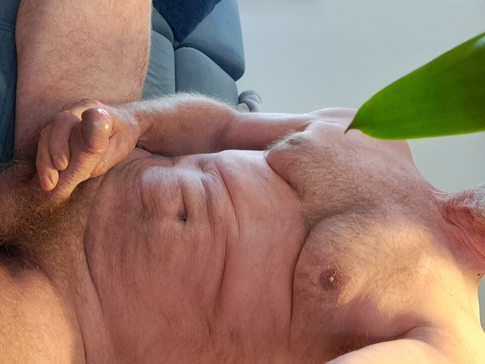 1000013368.jpg - felikx1