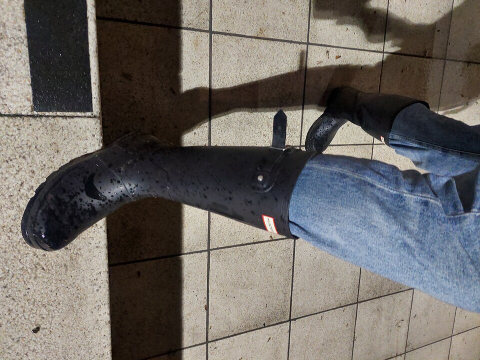 20251007_205328.jpg - Rubber_gloves