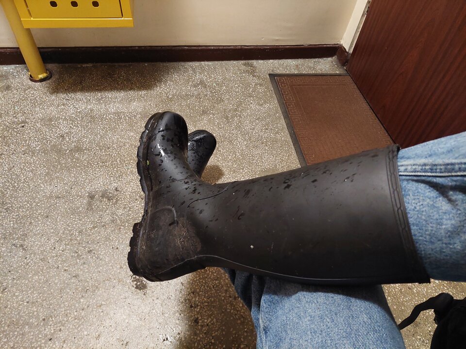 20251007_205923.jpg - Rubber_gloves