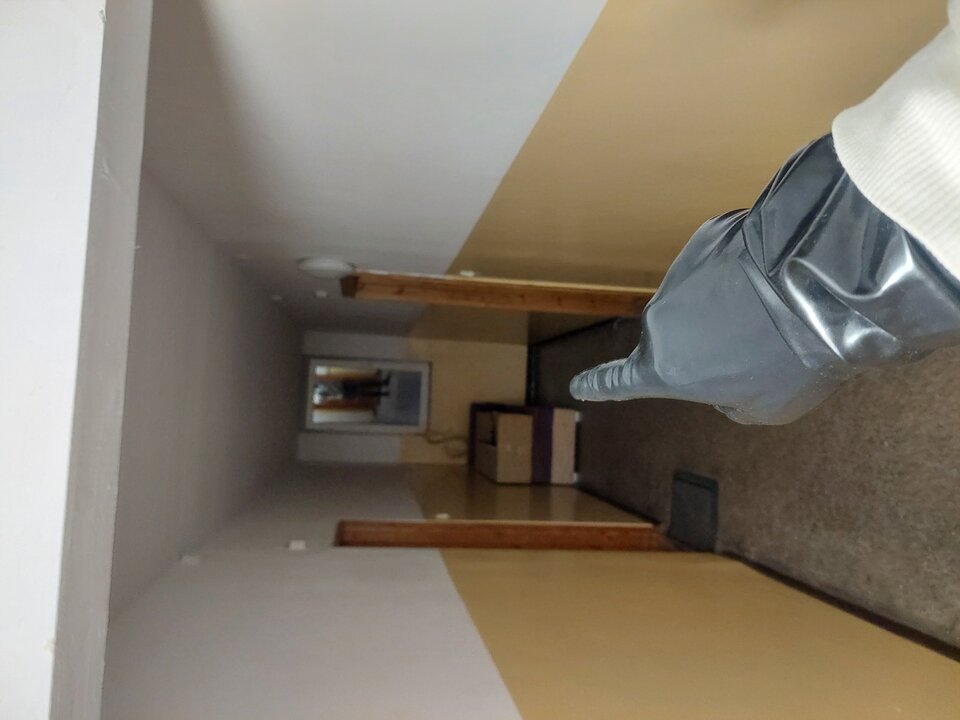 20251008_044758.jpg - Rubber_gloves