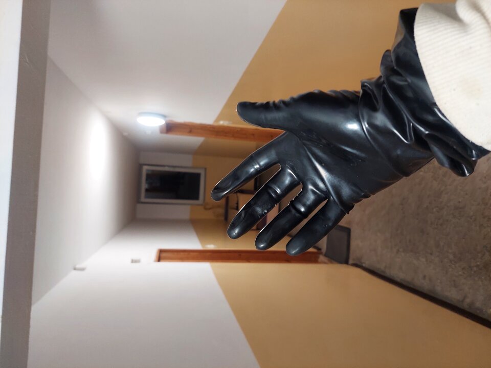 20251008_044755.jpg - Rubber_gloves