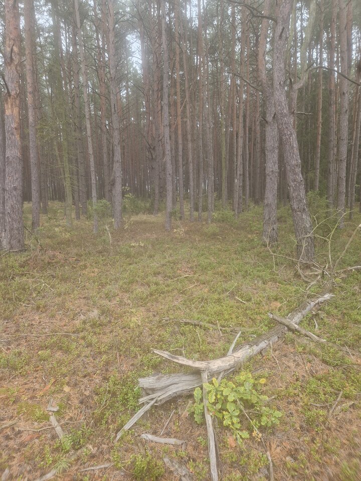 1000013120.jpg - Aeroooo