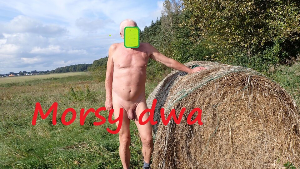 Jesienna sesja. - Morsy_dwa