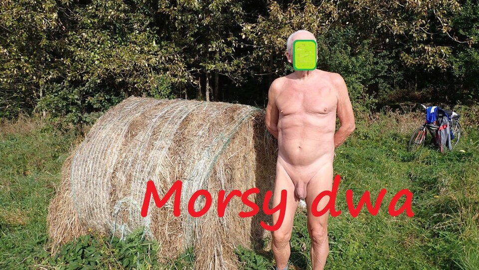 Jesienna sesja. - Morsy_dwa