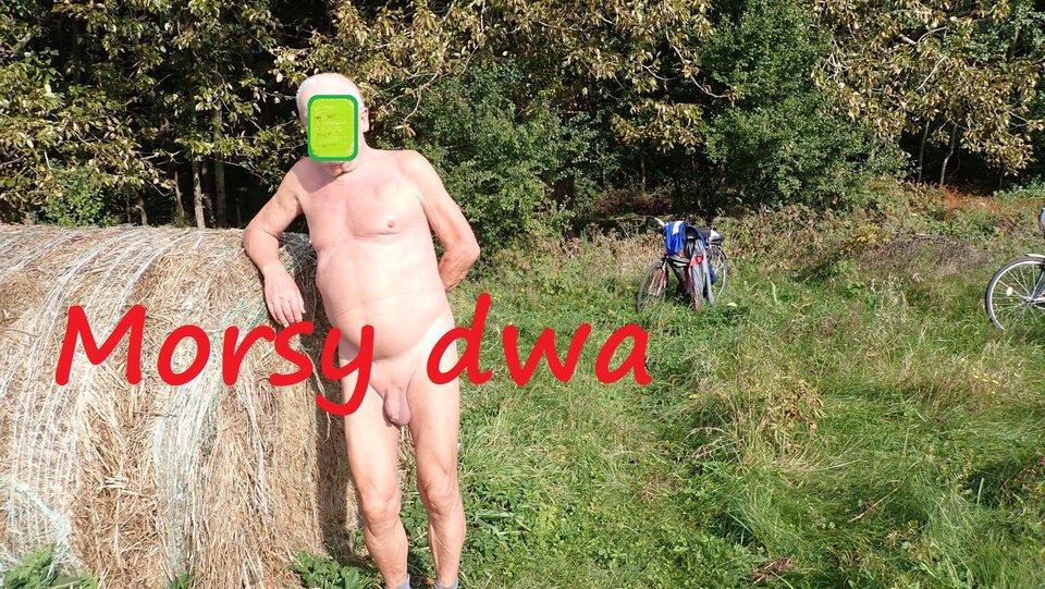 Jesienna sesja. - Morsy_dwa