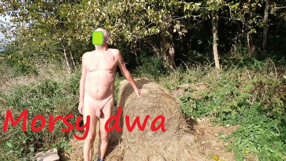 Jesienna sesja. - Morsy_dwa