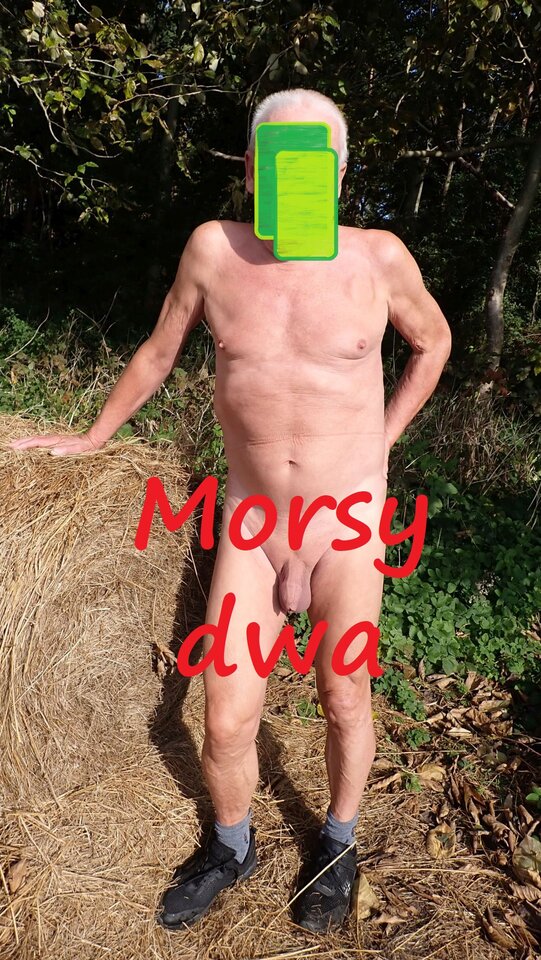 Jesienna sesja. - Morsy_dwa